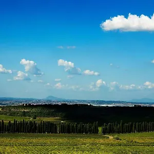 Alloggio per agriturismo Merumalia Wine